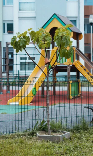 Arbre fruitier planté dans le quartier de Kerlivio à Hennebont